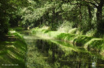 Entergraven